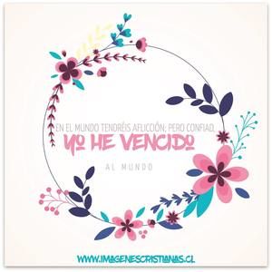 Meet your Posher, Dara